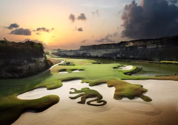 Image Sandy Lane - The Green Monkey